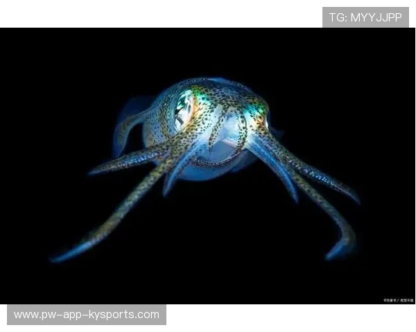 潜水探宝赛：海底宝藏的神秘之旅，潜水探险