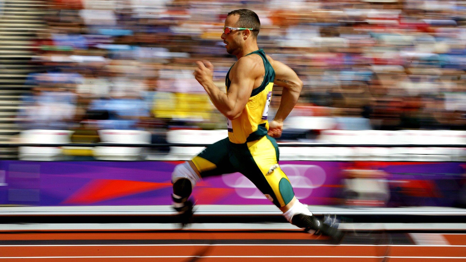 开云体育在线登入-波兰队未来展望：通过培养多元化人才，提升整体实力，波兰队的